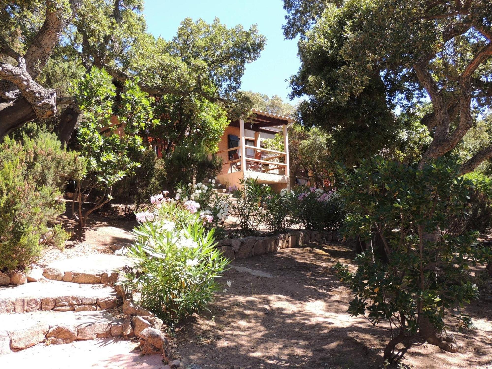 Bungalows Du Maquis ปอร์โต-เวคคีโอ ห้อง รูปภาพ